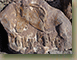 Pony-Pete-Horse-Pet-Memorial