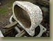 30-x-20-x-12-Oblong-Stone-Trough-7