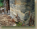 Stone-springhouse-NW-water-outlet