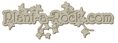 www.plant-a-rock.com